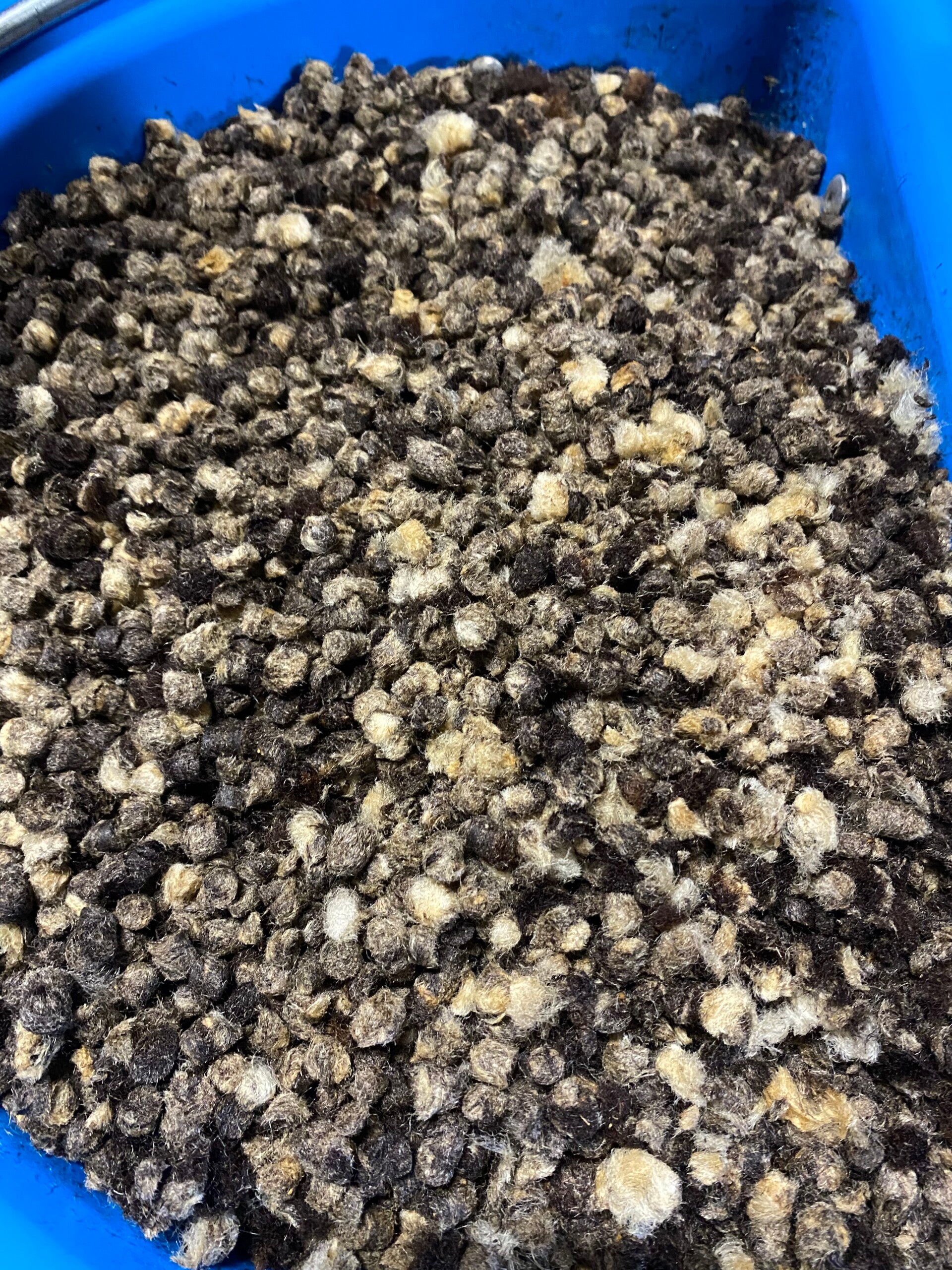 1 Kilo Wollets             Wollhack