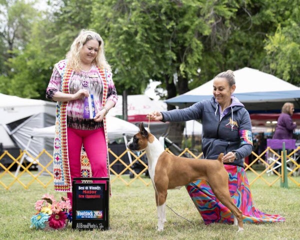 CH Tenebo's Moonlight Magic With Pentastar