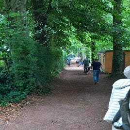 20250628_121106-standard-a1ujdq.jpg