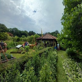 20250628_121402-standard-k71tqh.jpg