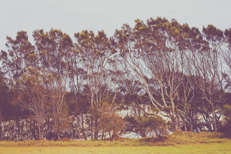 australie_8132_perine_bonnard_original_uxga-standard.jpg