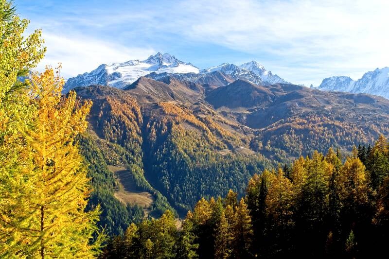 couleurs_d_automne_en_montagne_993_perine_bonnard-web-standard.jpg
