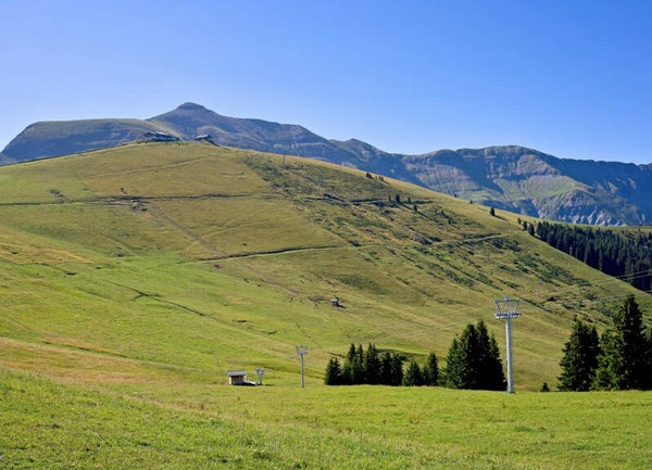 Carte rectangulaire A6 - Pro
