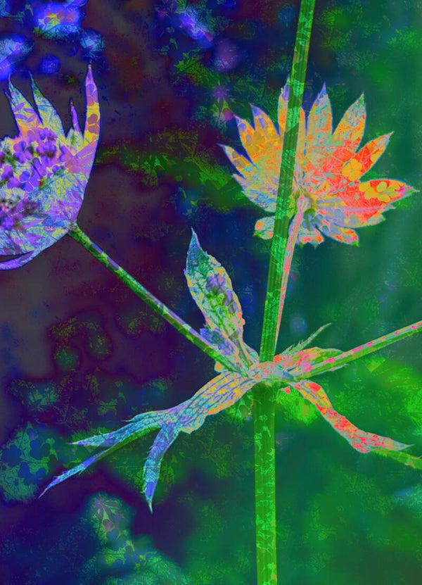 Flower Power 323 – Œuvre d’art en édition limitée - 30x45cm