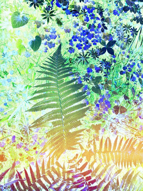 Flower Power 355 – Œuvre d’art en édition limitée - 30x45cm