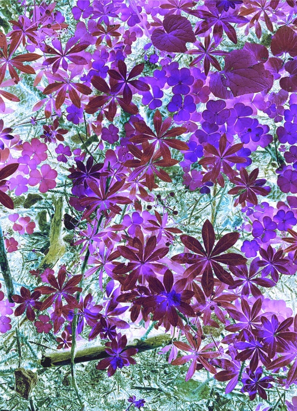 Flower Power 401 – Œuvre d’art en édition limitée - 30x45cm