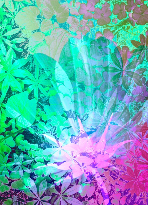 Flower Power 417 – Œuvre d’art en édition limitée - 30x45cm