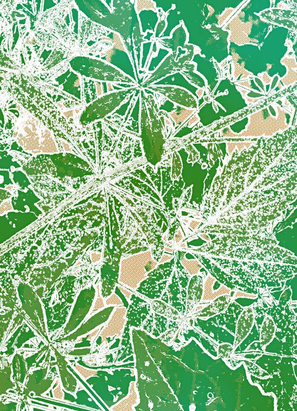 Flower Power 522 – Œuvre d’art en édition limitée - 30x45cm