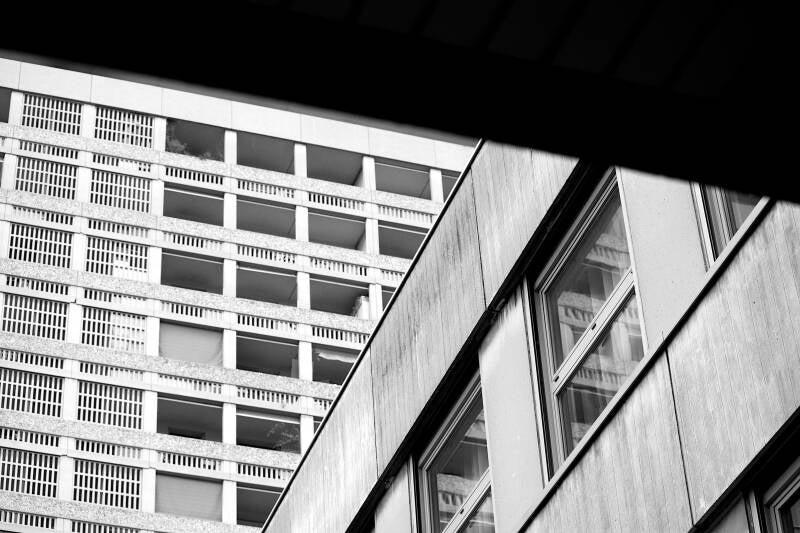 lyon_86_perinebonnard-web-standard.jpg