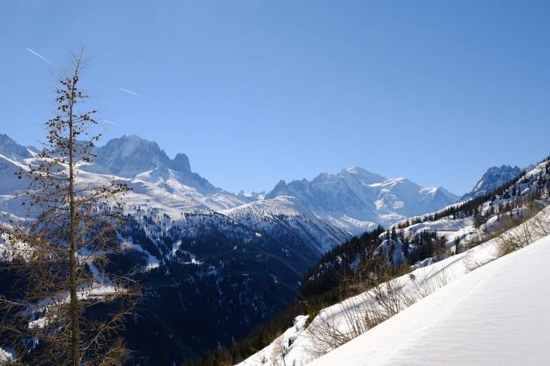 mont_blanc_et_meleze_368_perine_bonnard-web-standard.jpg