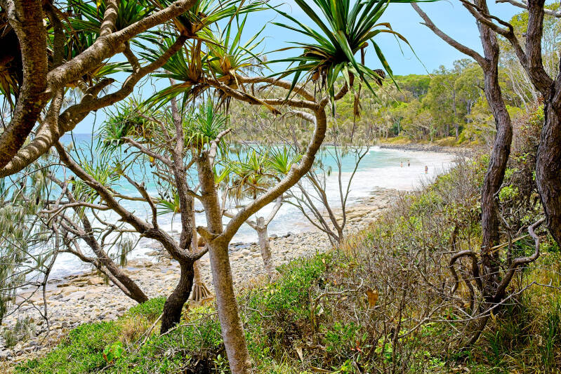 noosa_national_park_550_perine_bonnard_original_uxga-standard-0qb72x.jpg