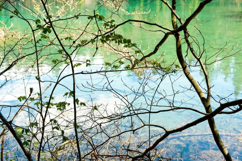 printemps_au_lac_vert_967_perinebonnard-web-standard.jpg