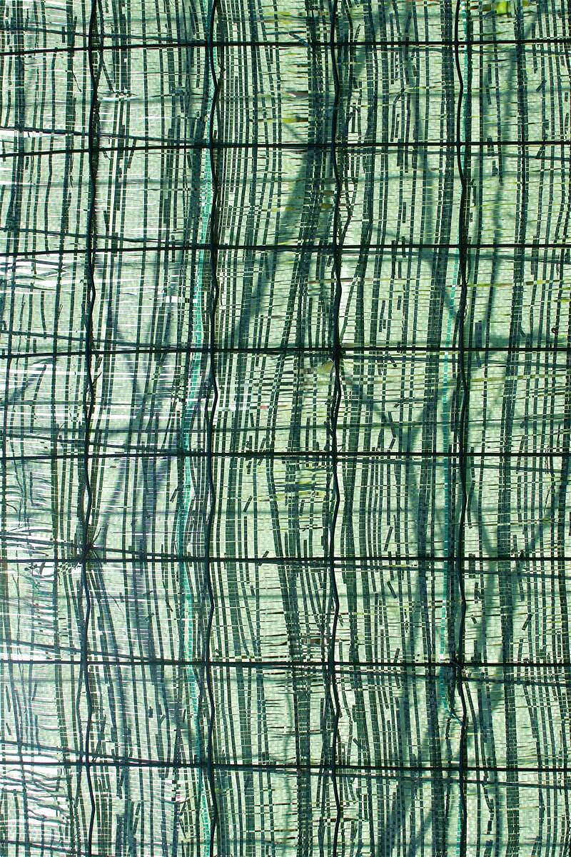 vert_graphique_029_perinebonnard-web-standard.jpg