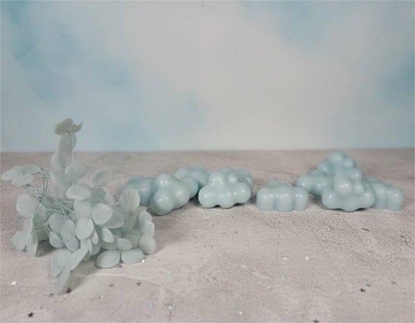 FONDANTS Parfumés et BOUQUETS de FONDANTS