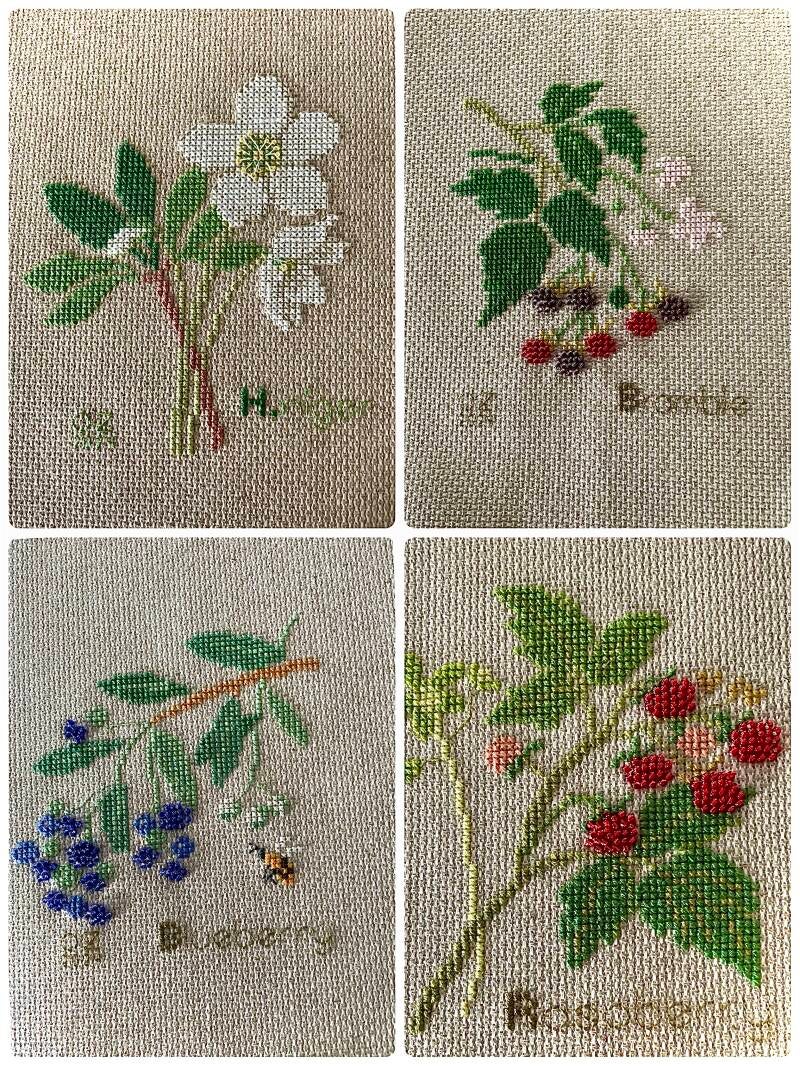 Beerenvielfalt Bilder zum Verkauf 