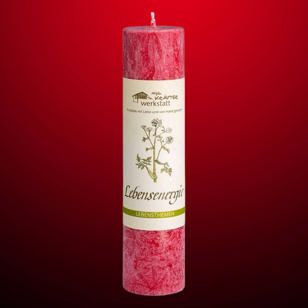 Lebensenergie