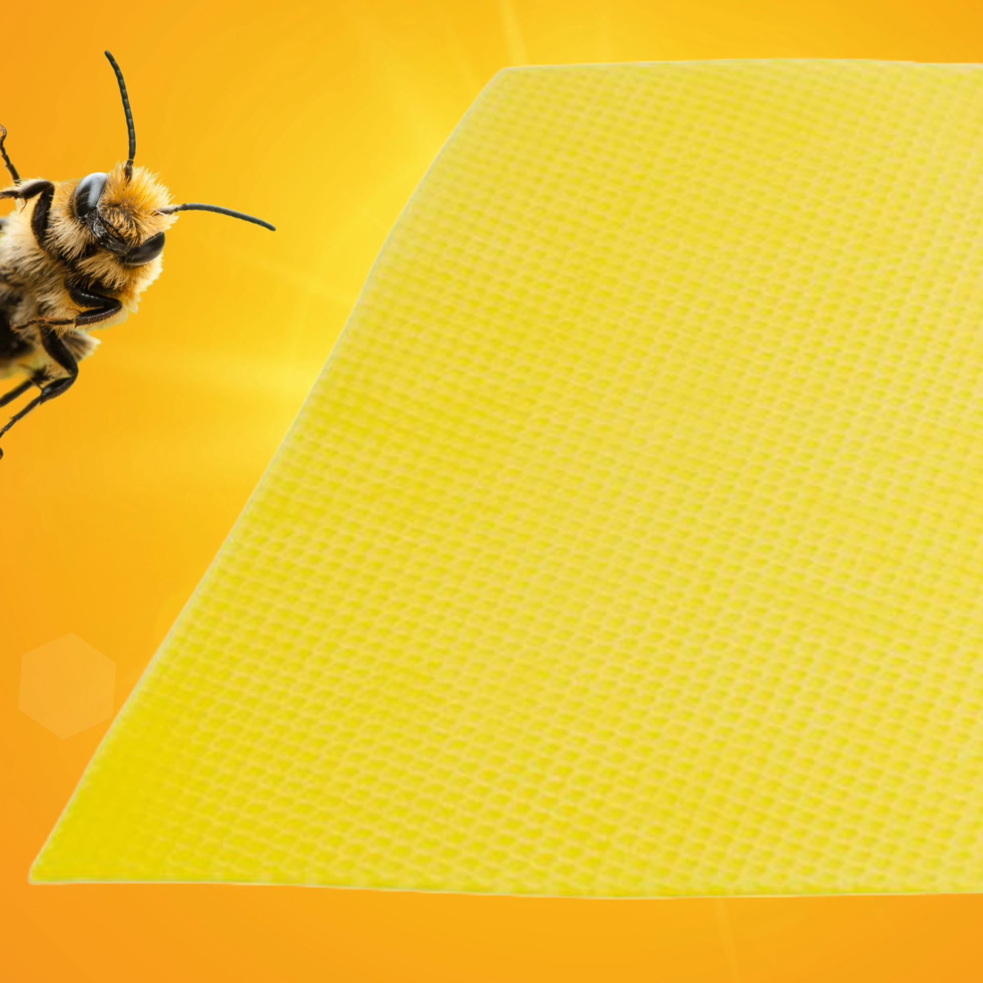 Bienenwachsplatte