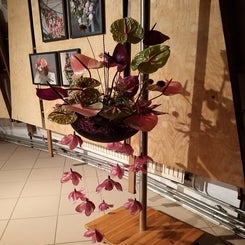 Tentoonstelling-1.jpg