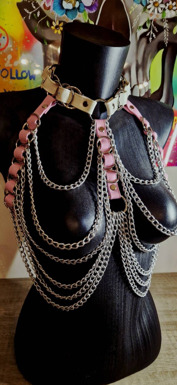 💗 Sweet Chaos harness