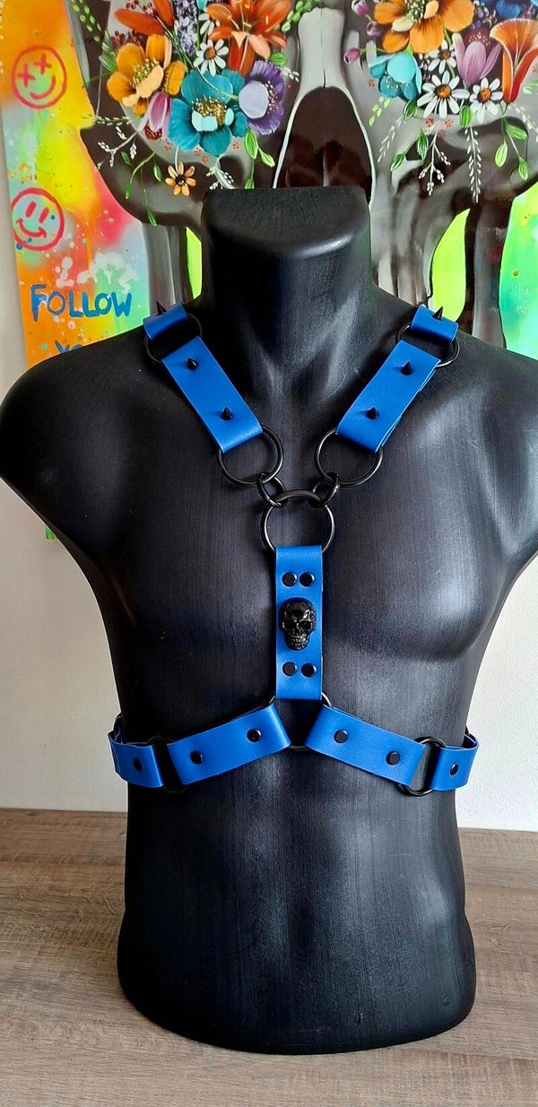 ☠️ Blue Obsession Harness