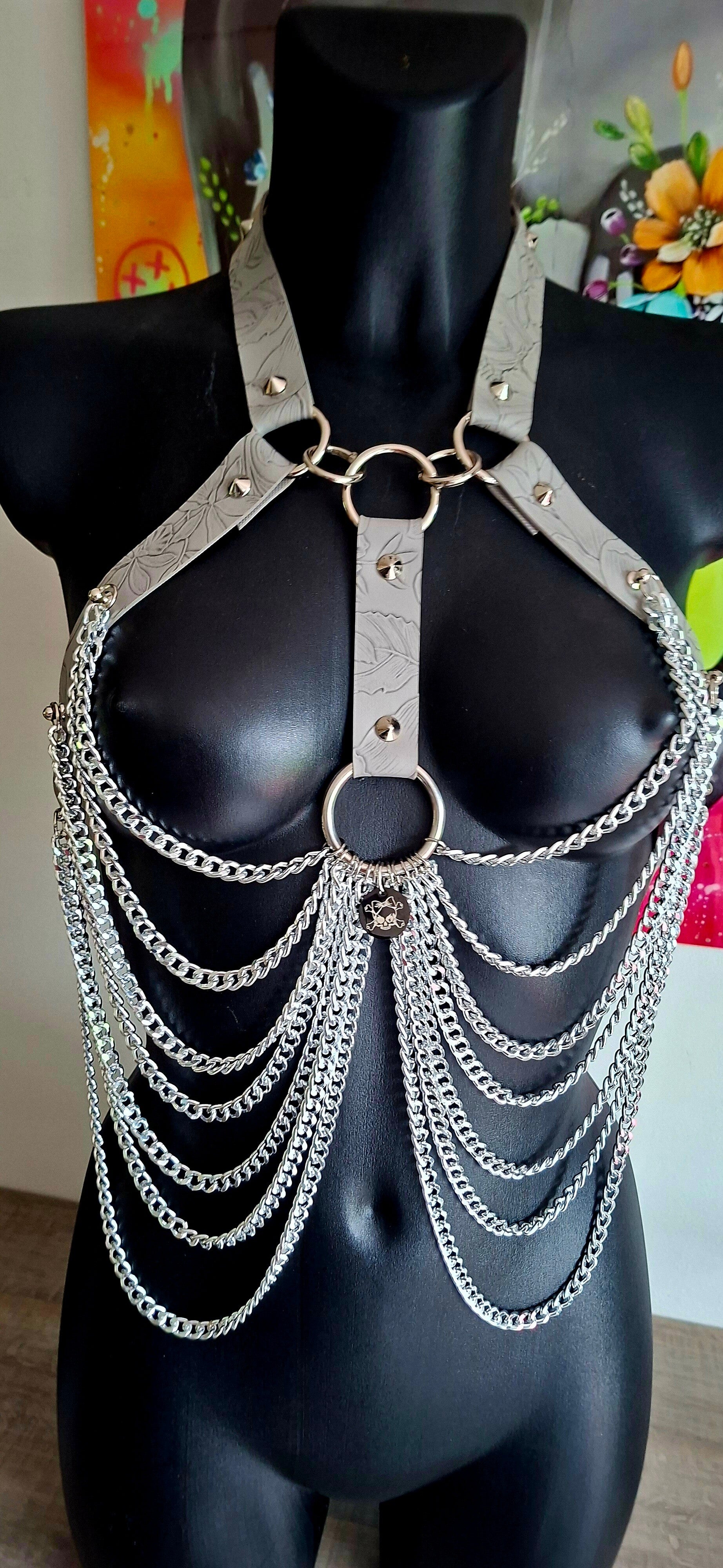 ❄️ Silver Frost Harness