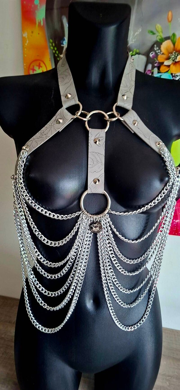 ❄️ Silver Frost Harness