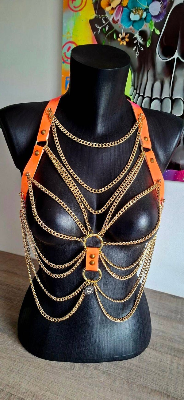 🌅🔥Sunset Riot harness