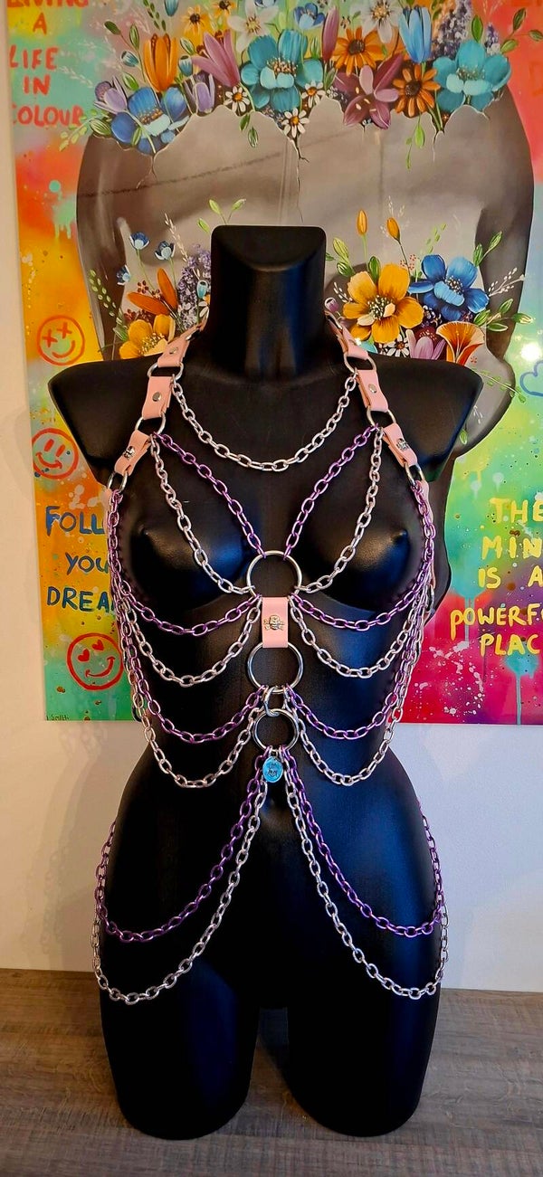 💗💜 Pastel Fusion harness