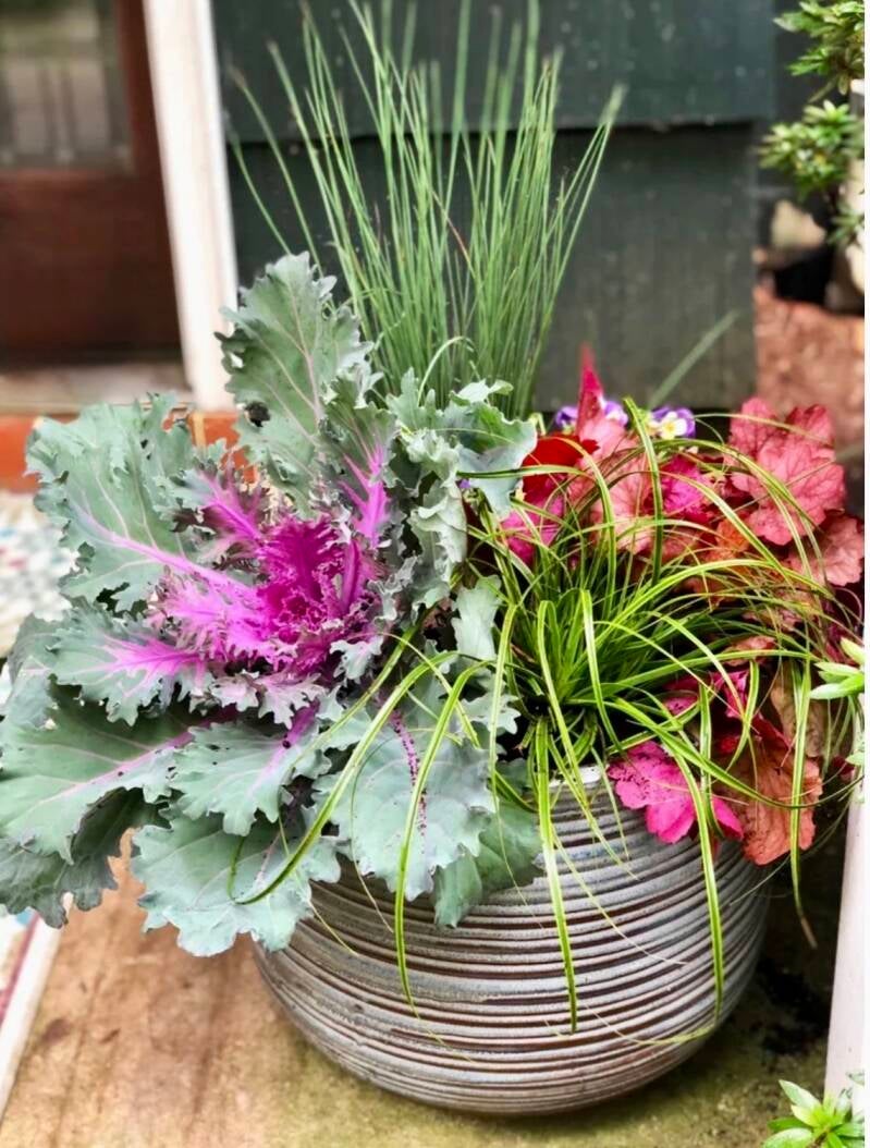 Small textured, Fall planter