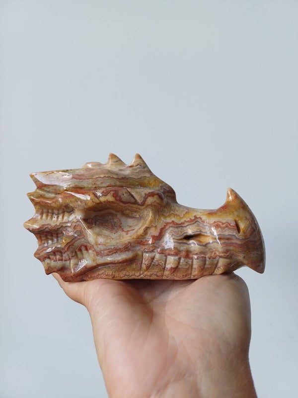 Crazy lace agaat carving (drakenschedel)