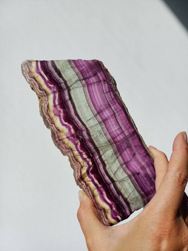 Fluoriet schijf/ slab