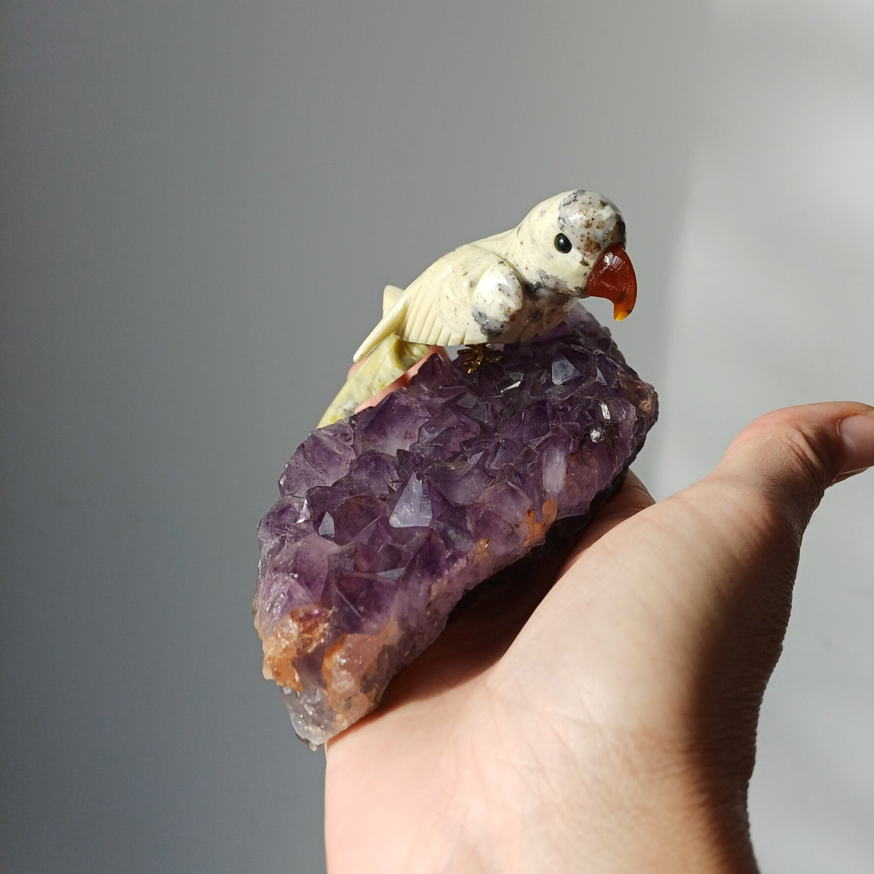 Amethist cluster met speksteen papegaai