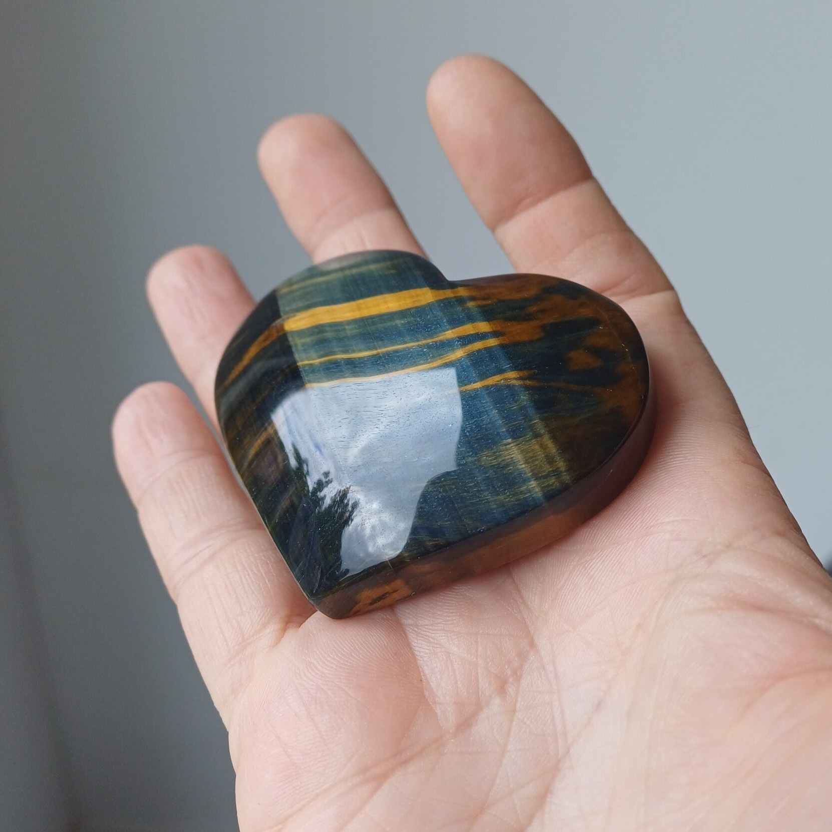 Tijgeroog met valkenoog hart