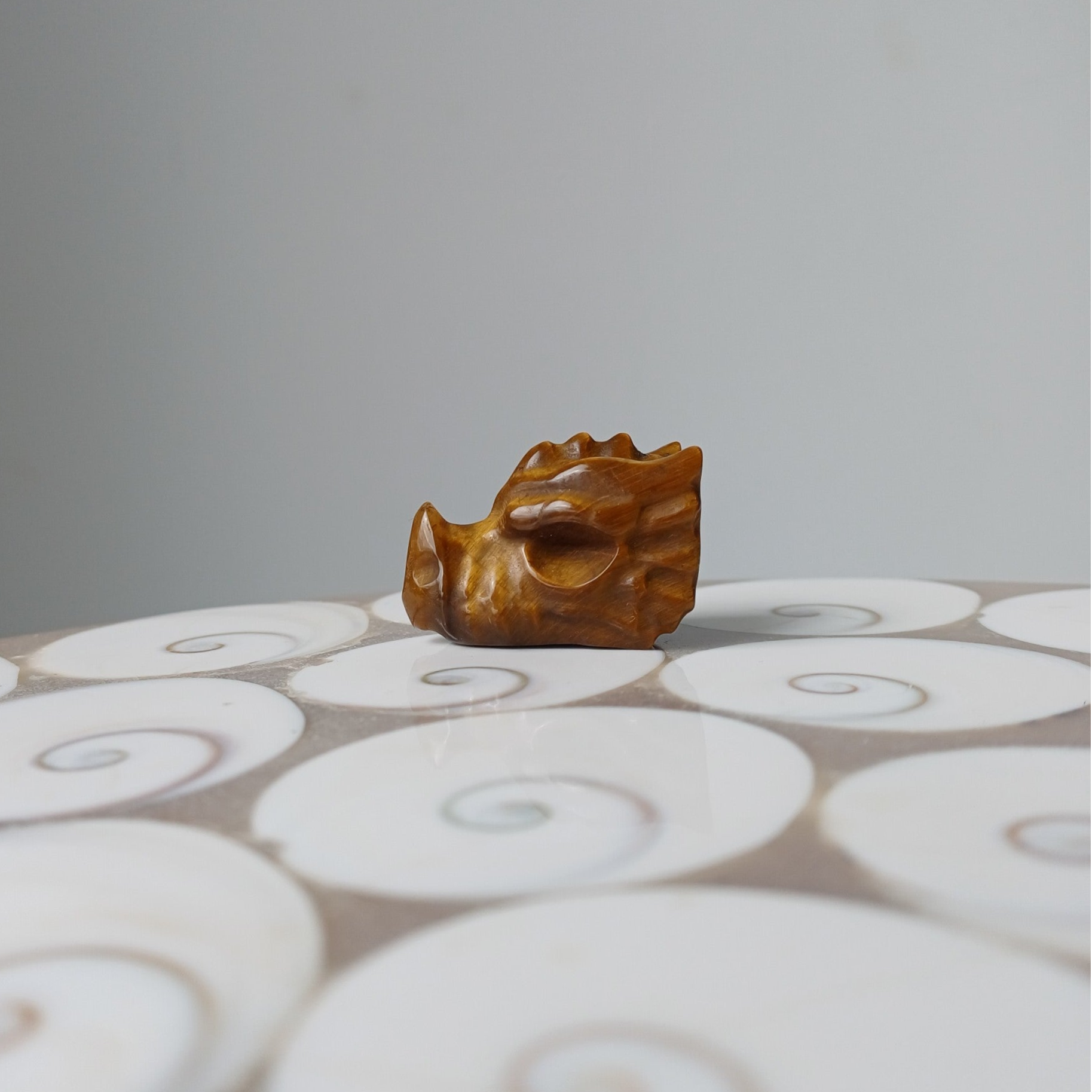 Tijgeroog carving (drakenschedel)