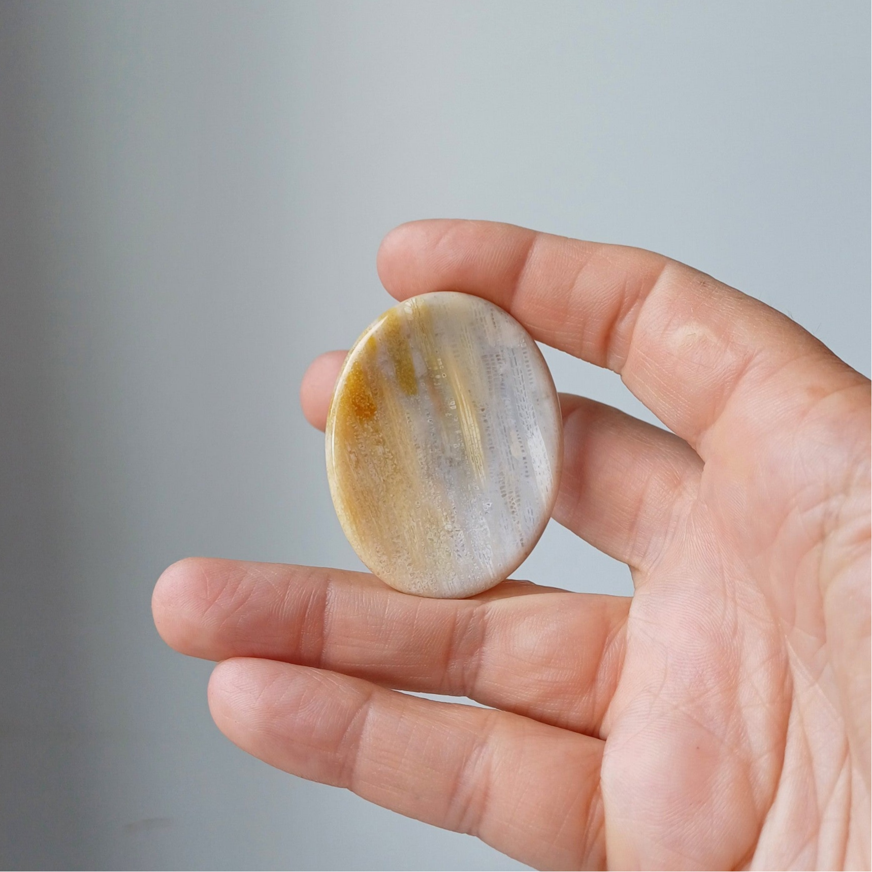 Versteend koraal worrystone