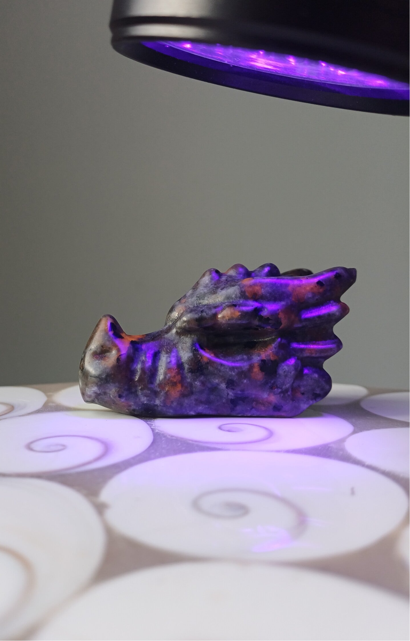 Syeniet met sodaliet (Yooperlite) carving (drakenschedel) met uv-reactie