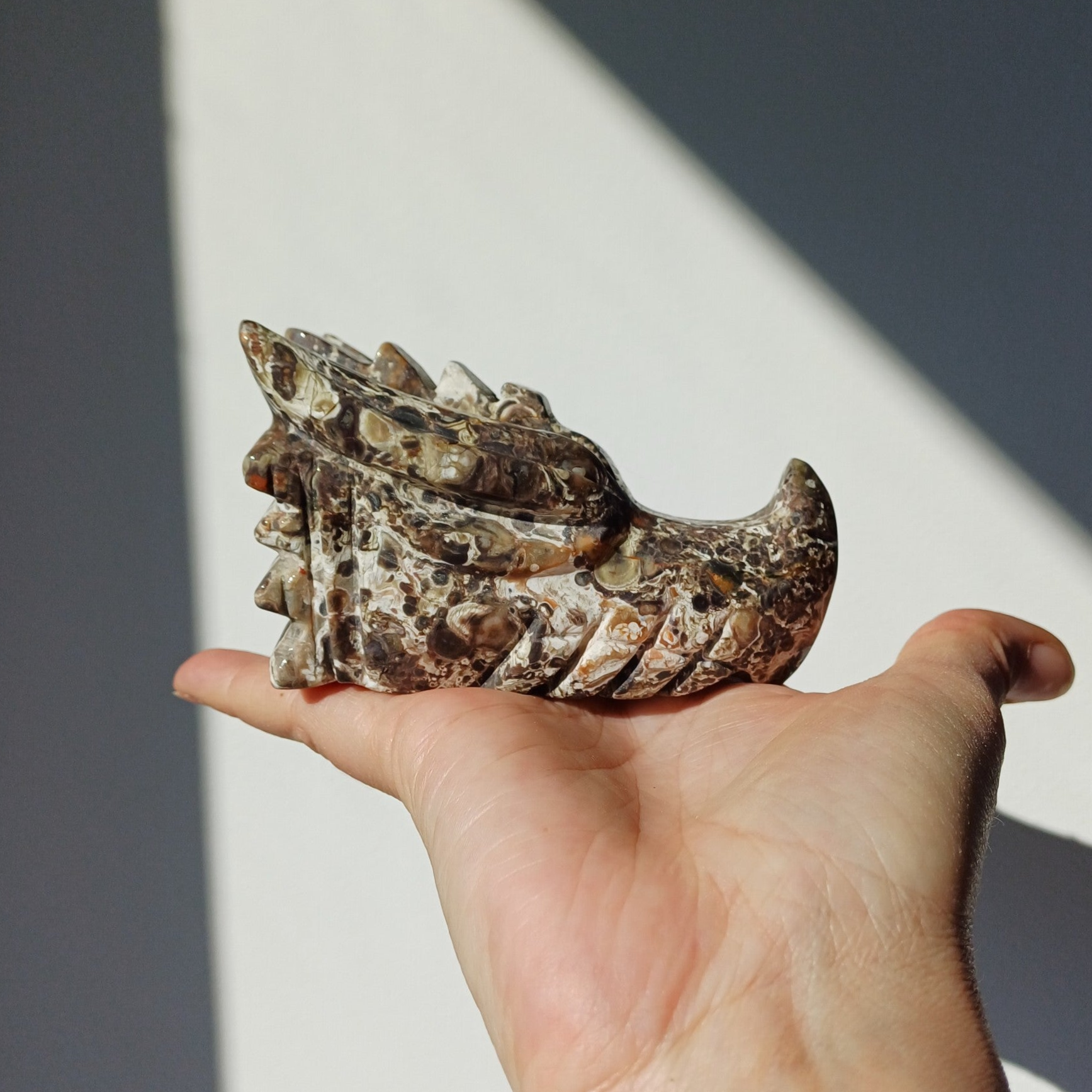 Rhyoliet/ Money agaat carving (drakenschedel)