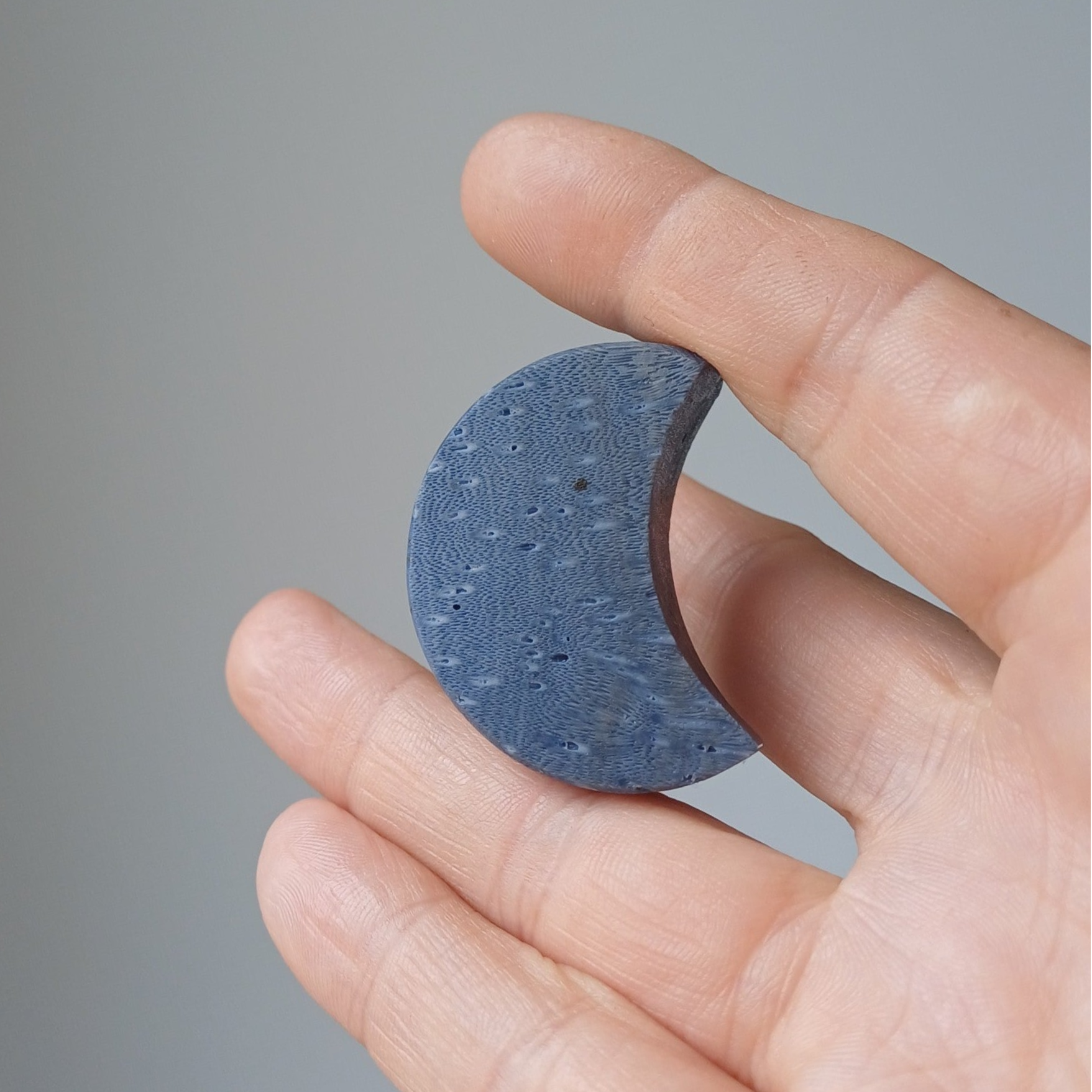 Versteend blauwe koraal carving (maan)