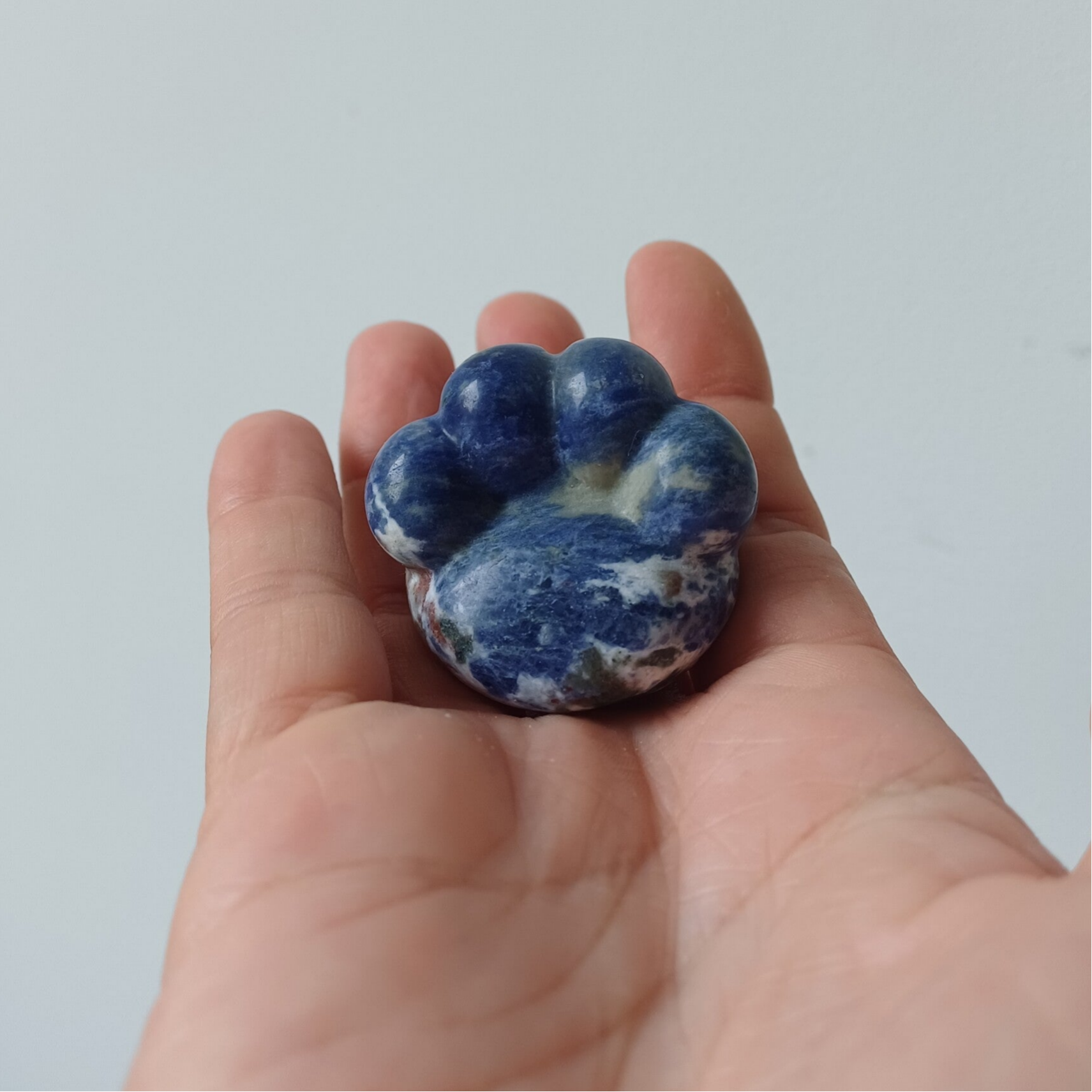 Sodaliet carving (hond- kattenpootje)