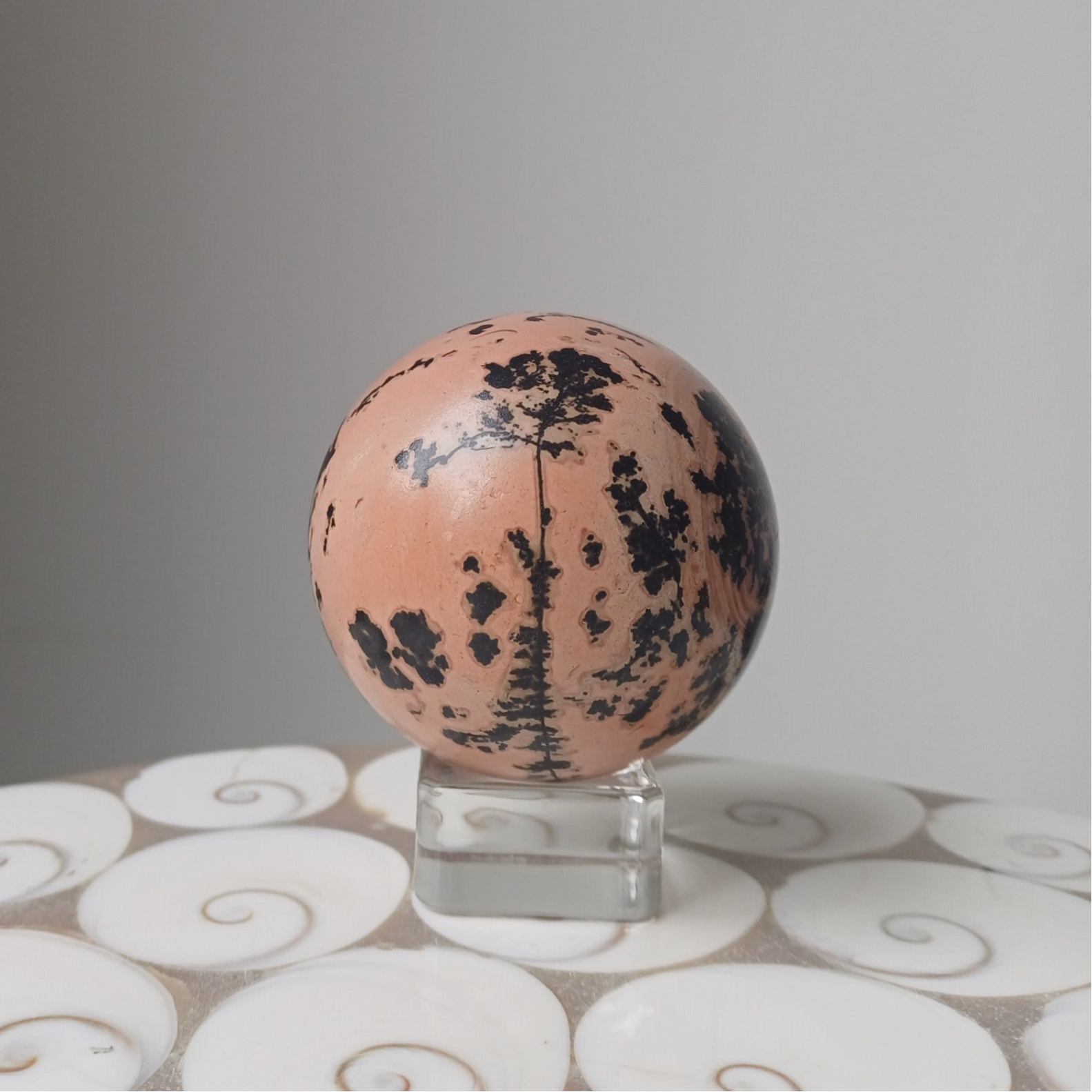 Landschapsjaspis bol