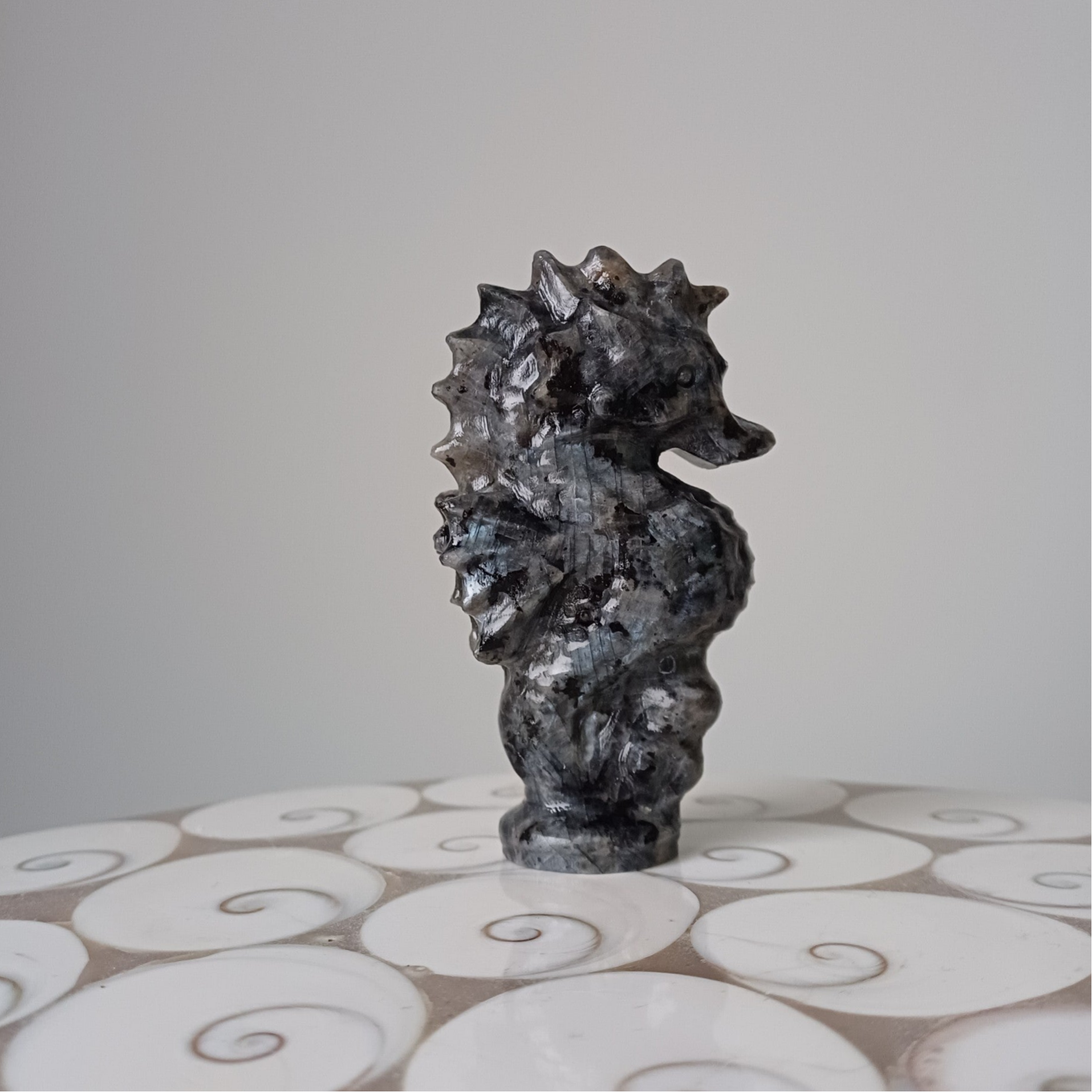 Larvikiet carving (zeepaardje)