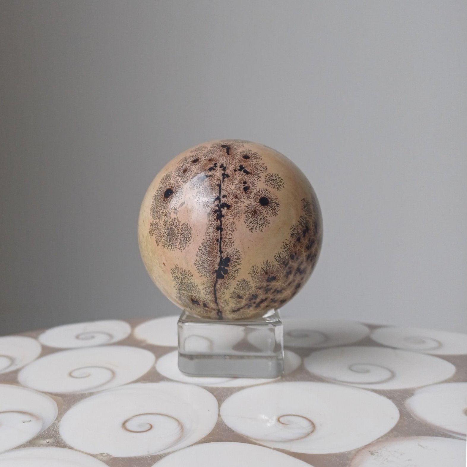 Landschapsjaspis bol