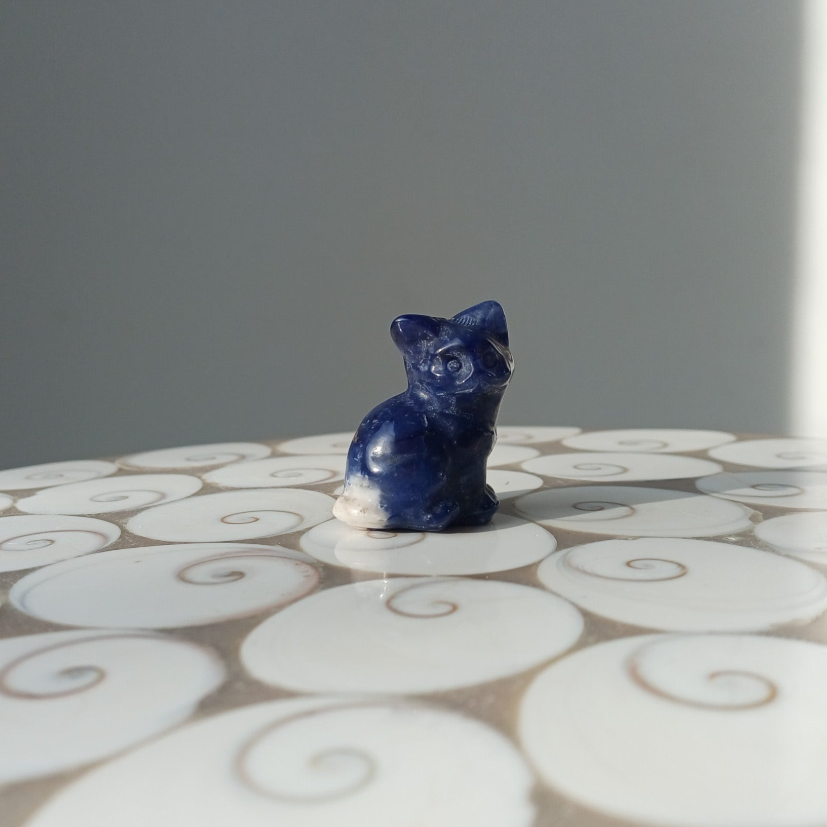 Sodaliet kat carving