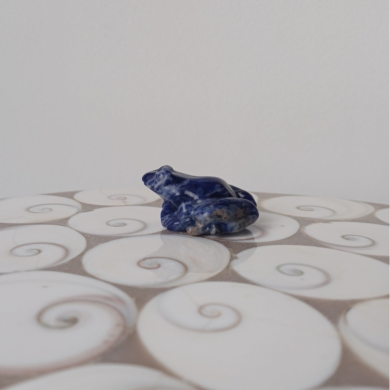 Sodaliet carving (kikker)