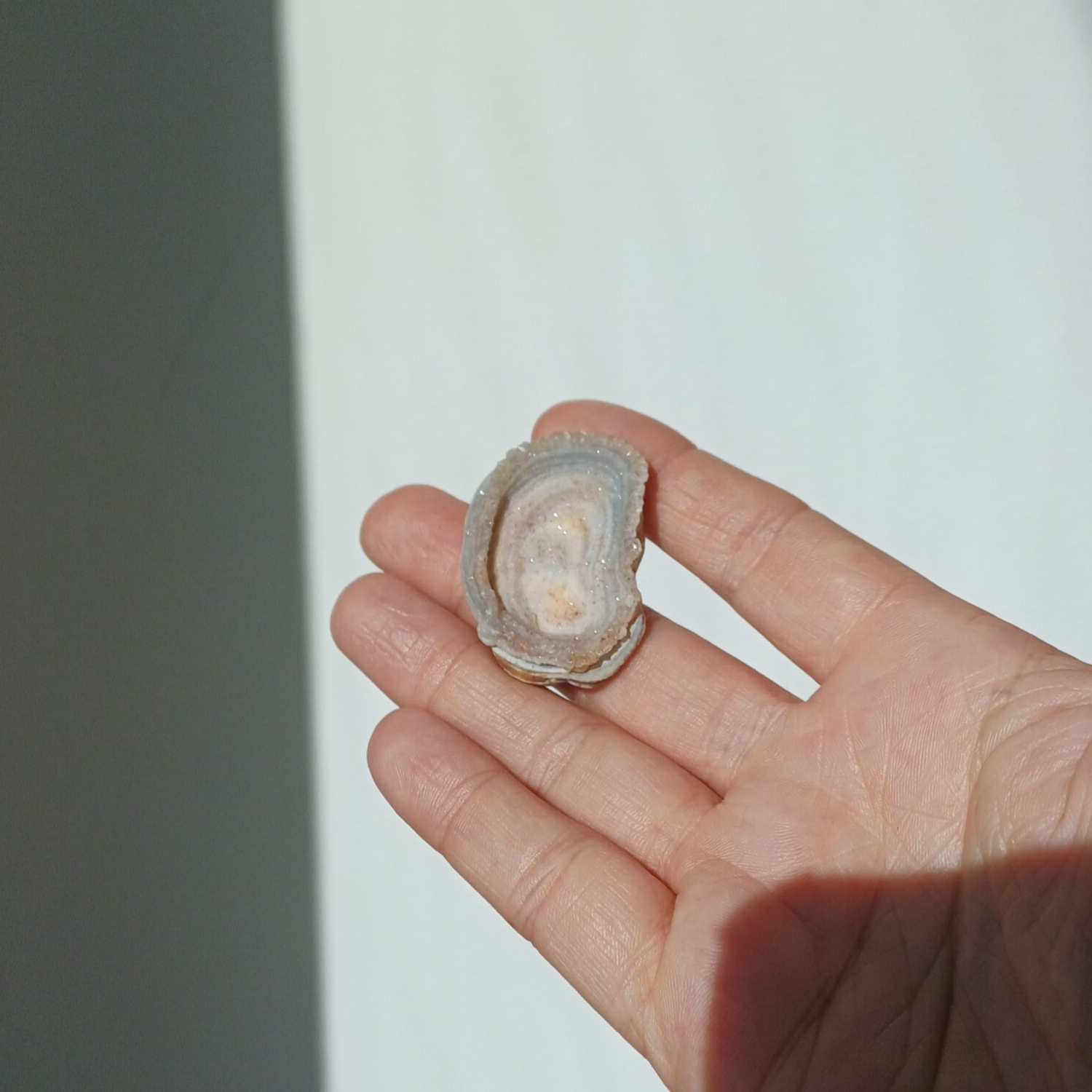 Chalcedoon roos of Amoriet