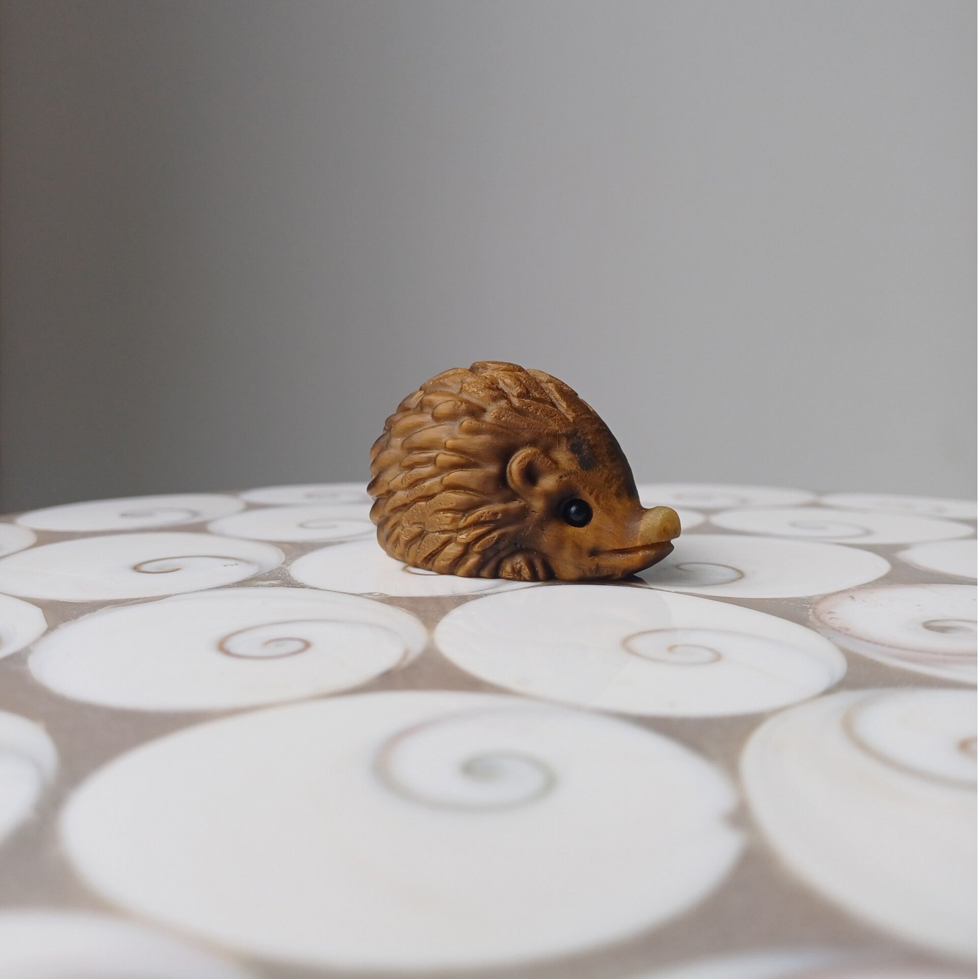 Tijgeroog carving (egel)