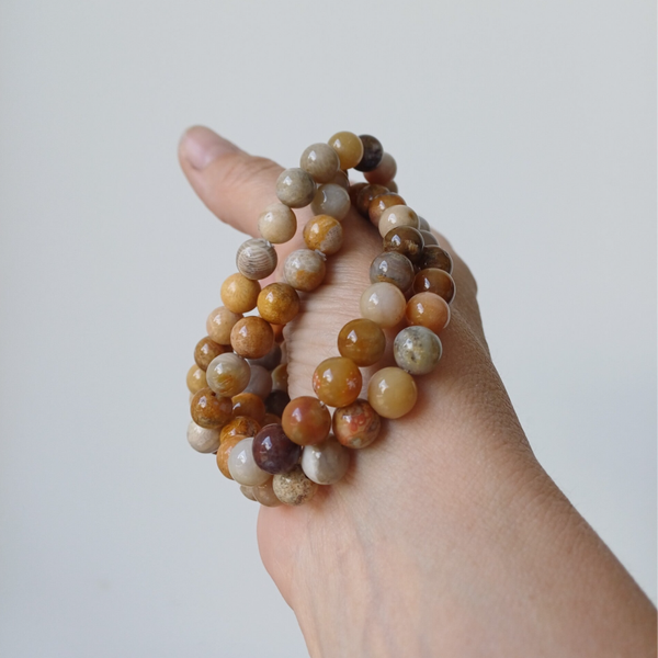 Versteend koraal armband 8 mm