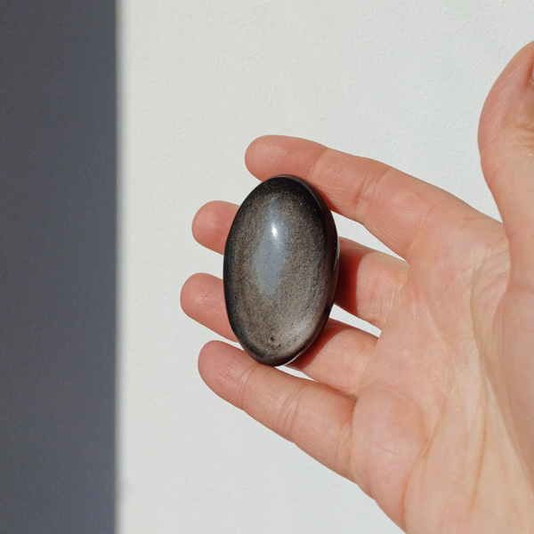 Zilver obsidiaan handsteen