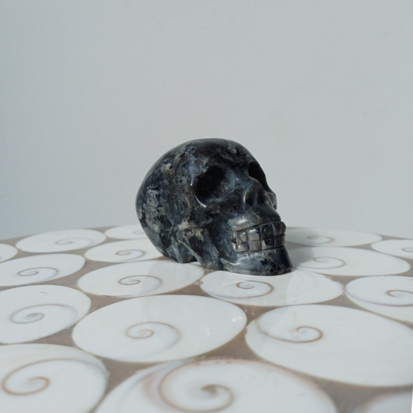 Larvikiet Skull carving