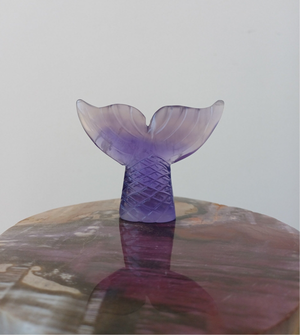 Fluoriet carving (zeemeerminstaart)